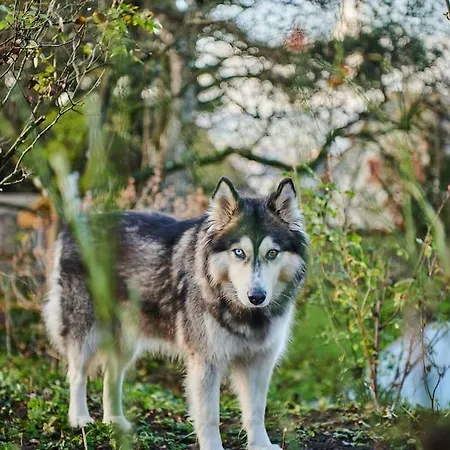 ヴィラ Zeitweise.haus Denkerhaus Und Stadtoase ヴァインガルテン