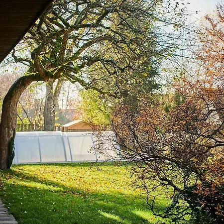 Zeitweise.haus Denkerhaus Und Stadtoase ヴィラ *