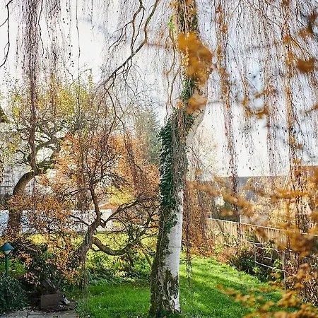 Zeitweise.haus Denkerhaus Und Stadtoase * فاينغارتن