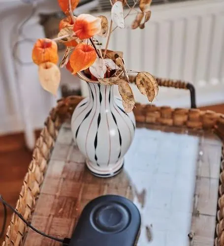 Zeitweise.haus Denkerhaus Und Stadtoase فيلة فاينغارتن